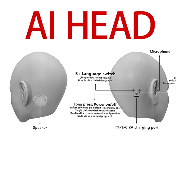 AI Head [+$  165]